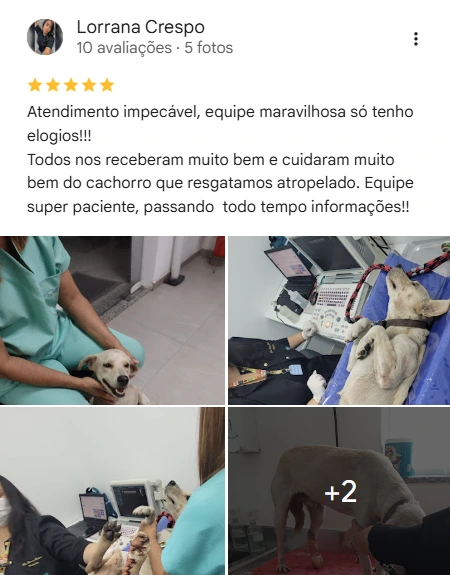 Avaliação 5 estrelas