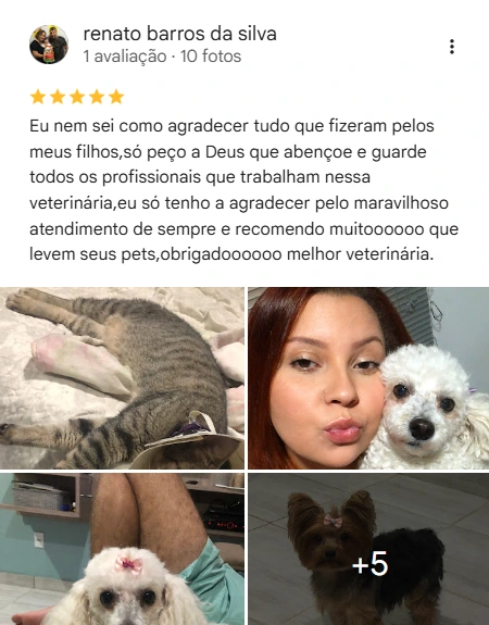 Avaliação 5 estrelas
