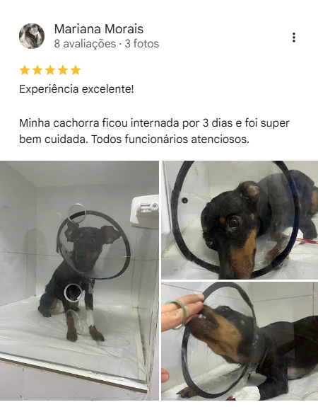 Avaliação 5 estrelas