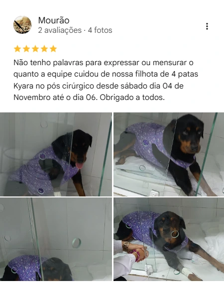 Avaliação 5 estrelas