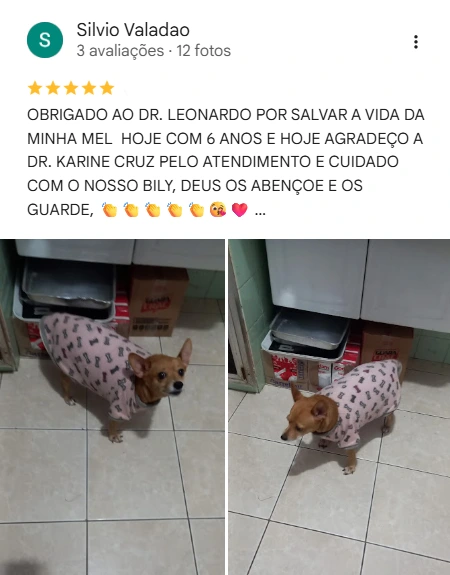 Avaliação 5 estrelas